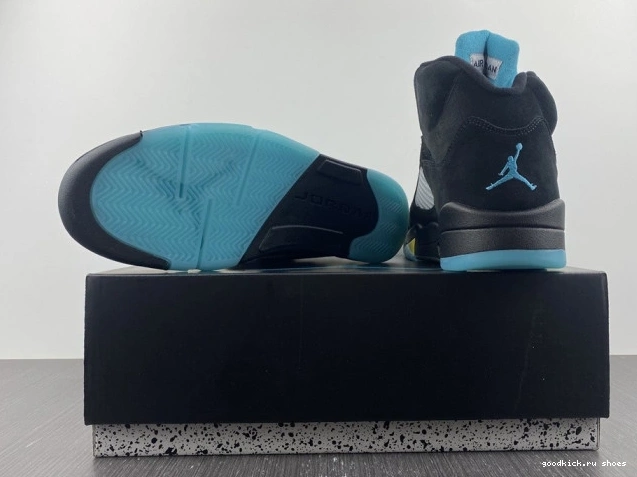 5 DD0587-047 Aqua Jordan Air 0807